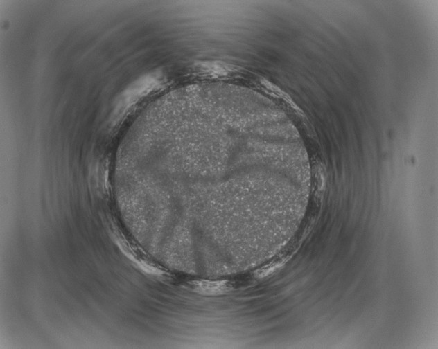 X0000085040615200704021255