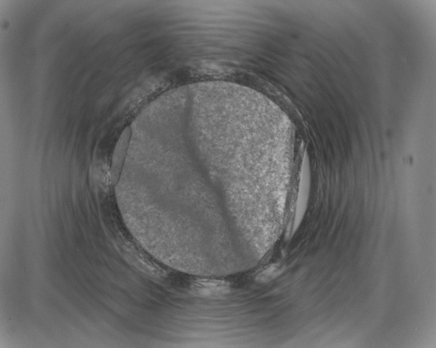 X0000085040617200704021255