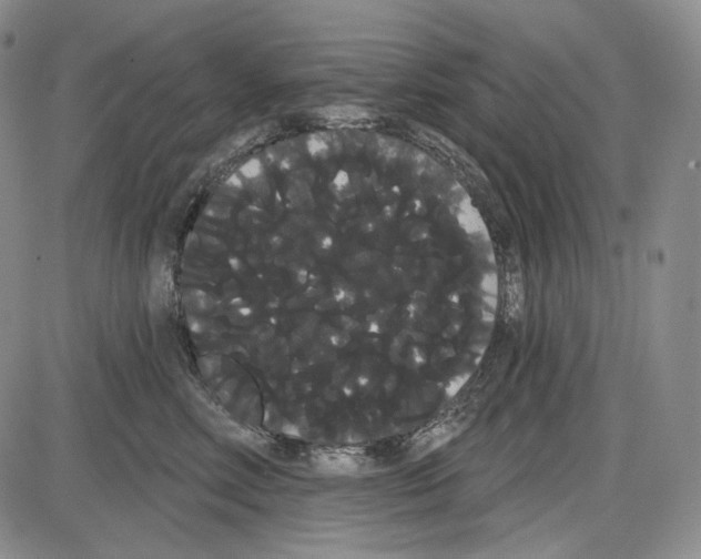 X0000085040618200704021255