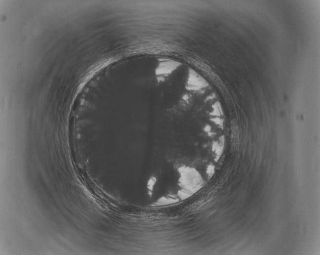 X0000085040626200704021254