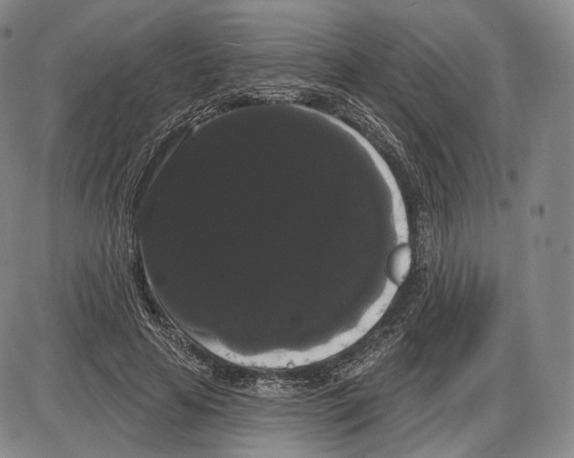 X0000085040641200704021255
