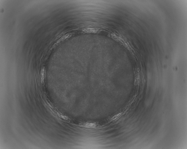 X0000085040647200704021255