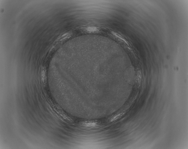 X0000085040651200704021255