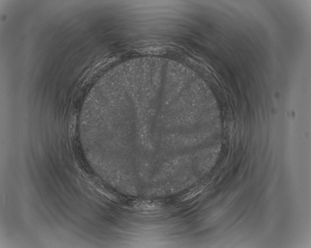 X0000085040652200704021255