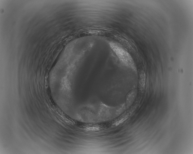 X0000085040653200704021255