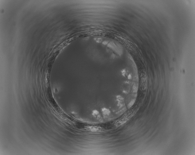 X0000085040654200704021255