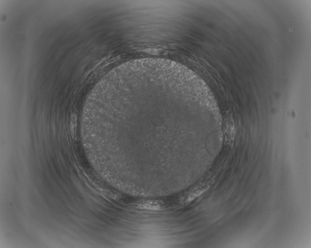 X0000085040656200704021255
