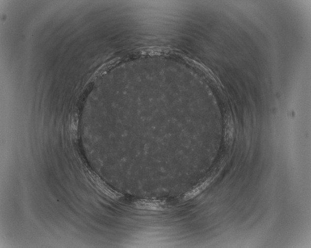 X0000085040661200704021255