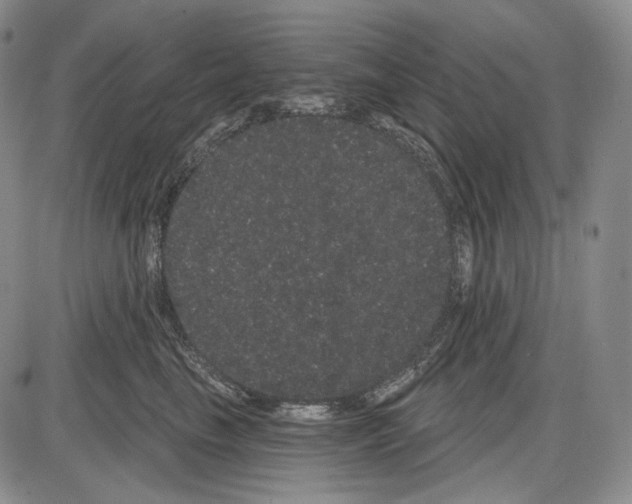 X0000085040665200704021255