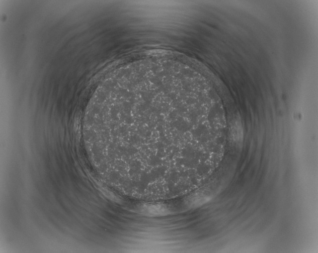 X0000085040666200704021255