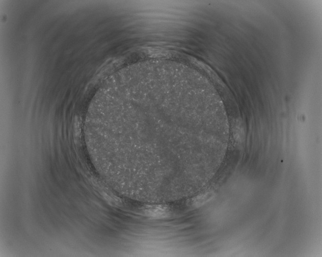X0000085040667200704021255