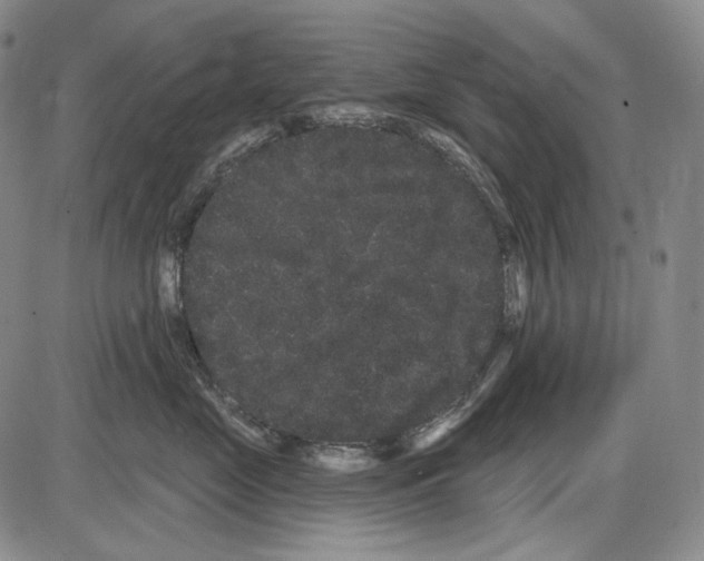 X0000085040669200704021255