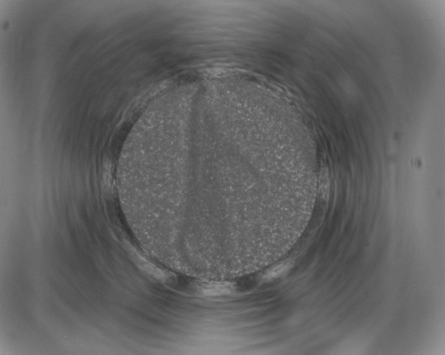X0000085040670200704021255