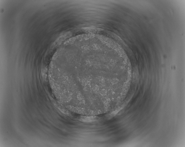 X0000085040671200704021255