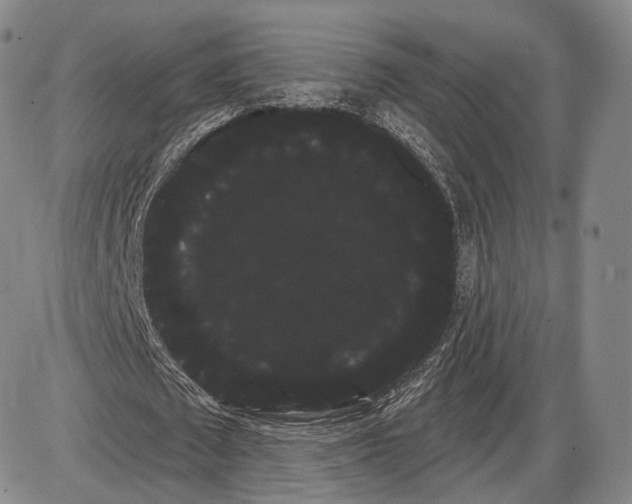 X0000085040673200704021254