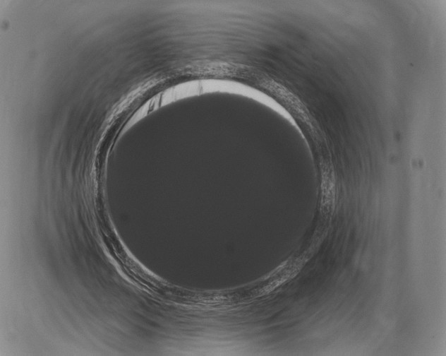 X0000085040674200704021254