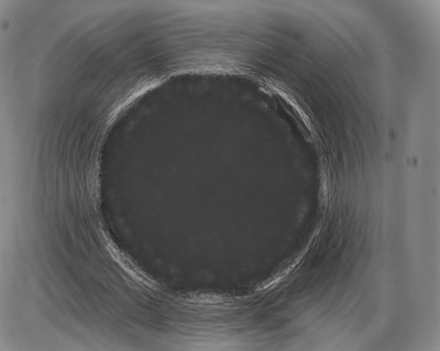 X0000085040677200704021254