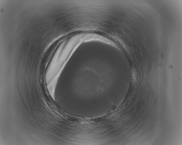 X0000085040684200704021254