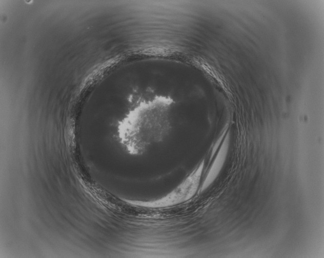 X0000085040688200704021254
