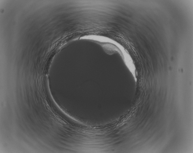 X0000085040689200704021254