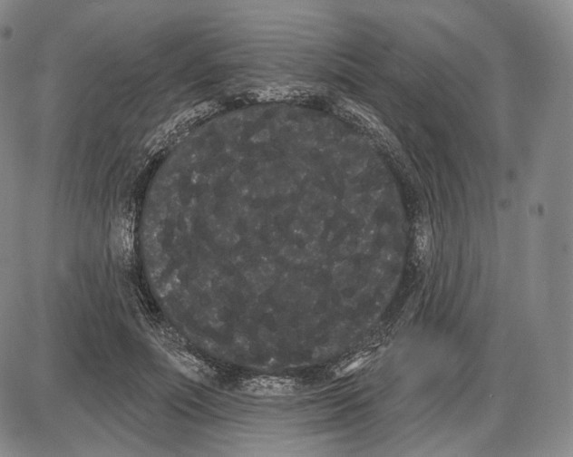 X0000085040691200704021254