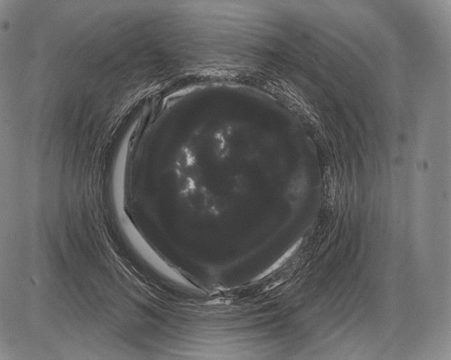 X0000085040692200704021254