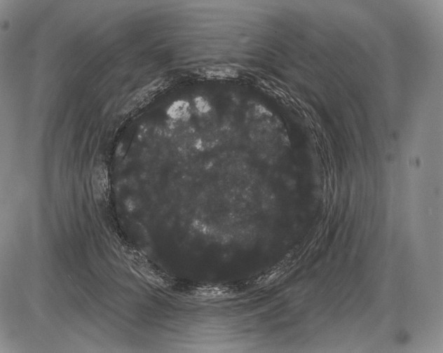 X0000085040704200704021254
