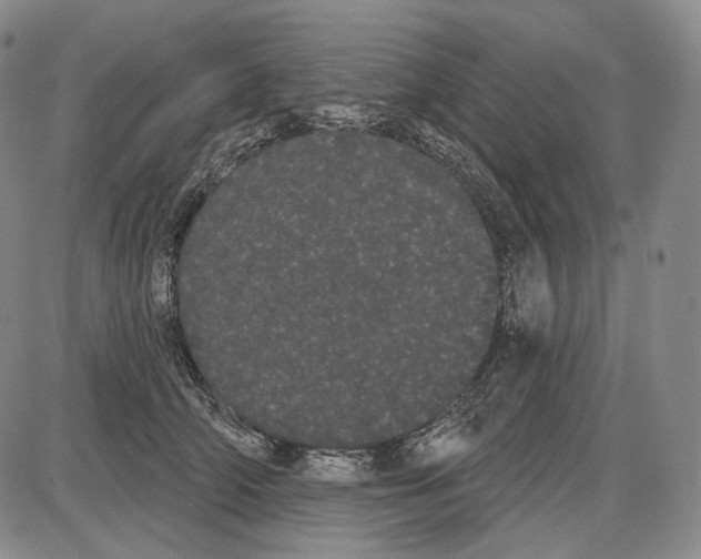 X0000085040706200704021254