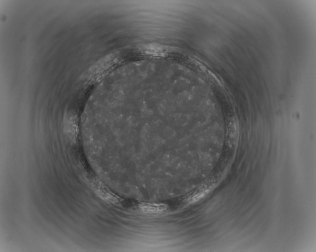 X0000085040707200704021254