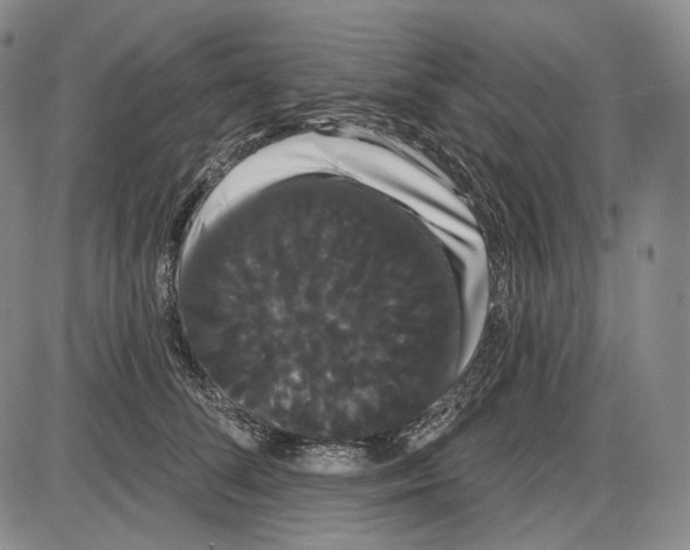 X0000085040708200704021254