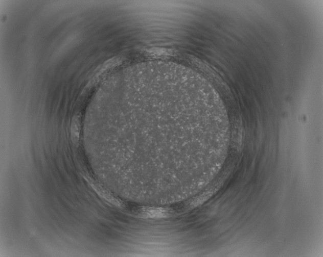 X0000085040710200704021254