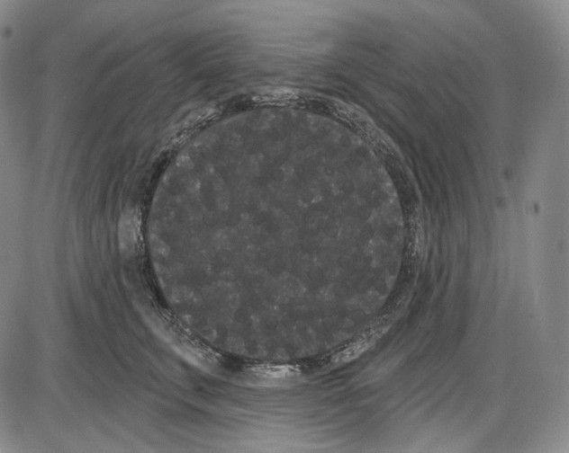 X0000085040711200704021254