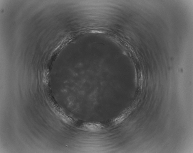 X0000085040712200704021254