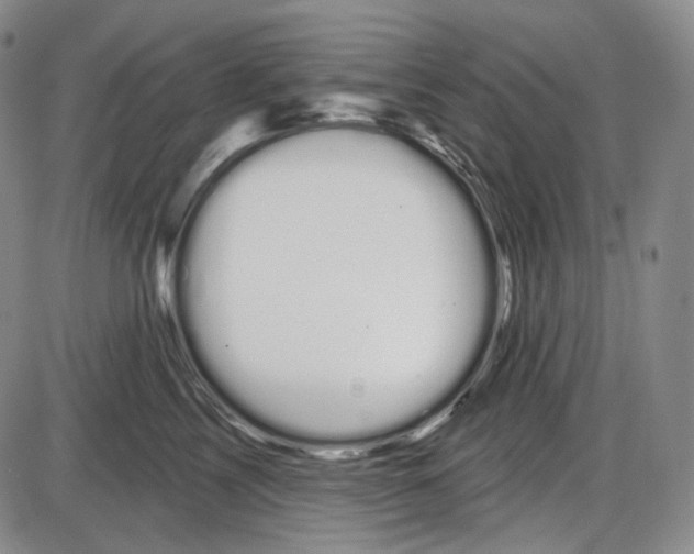 X0000085040713200704021254