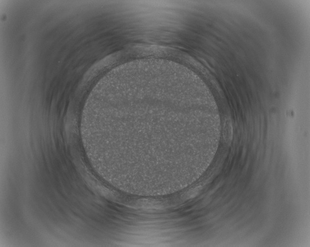X0000085040714200704021254