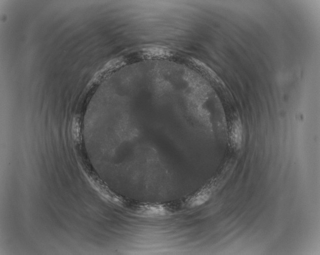 X0000085040715200704021254