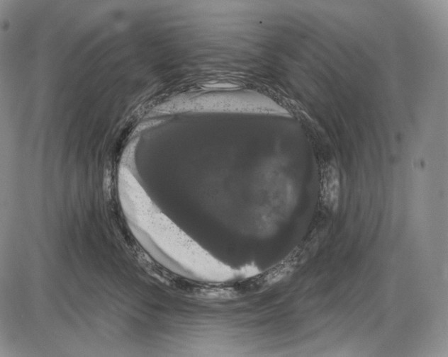X0000085040716200704021254