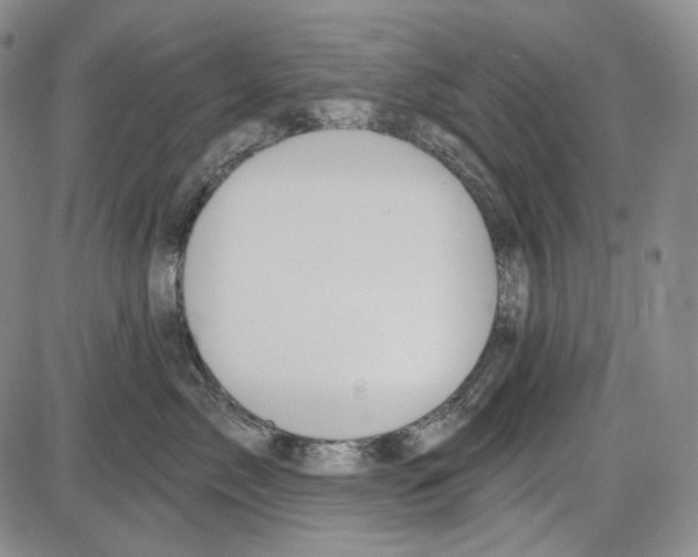 X0000085040717200704021254