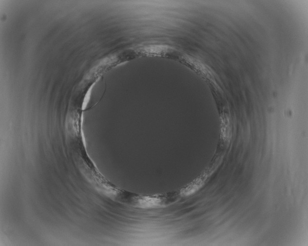 X0000085040718200704021254