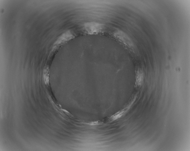 X0000085040719200704021253