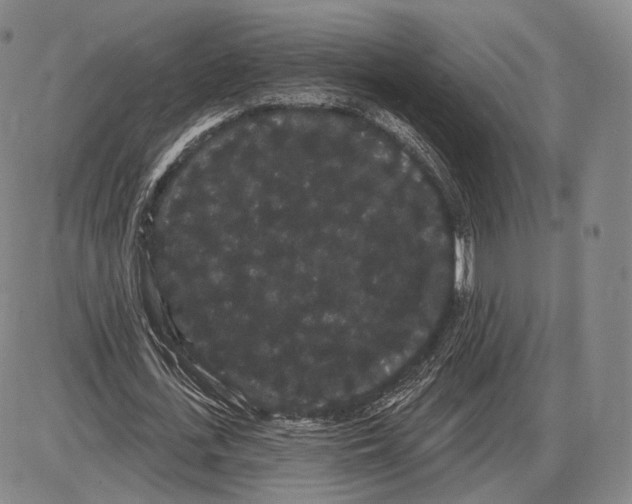 X0000085040723200704021253