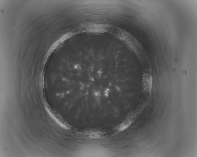X0000085040726200704021253