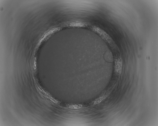 X0000085040731200704021253