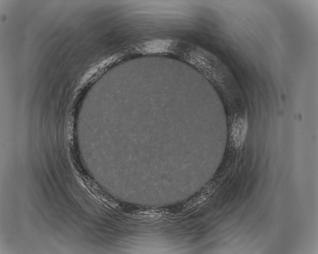 X0000085040732200704021253