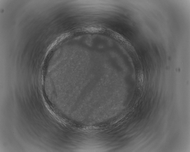 X0000085040734200704021253