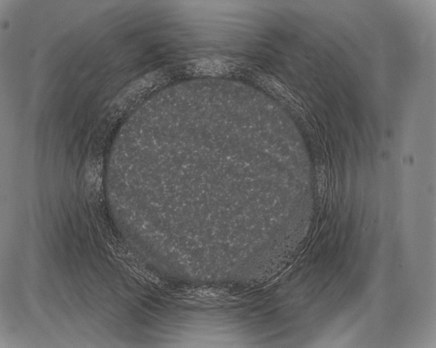 X0000085040737200704021253