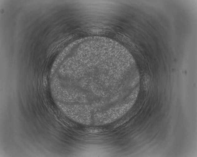 X0000085040746200704021253
