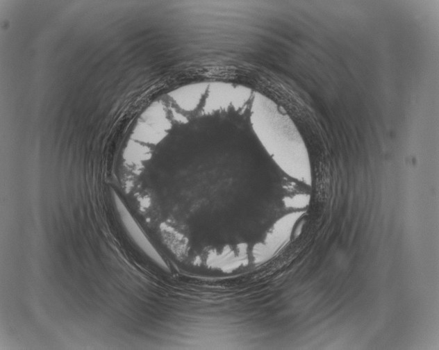 X0000085040748200704021253