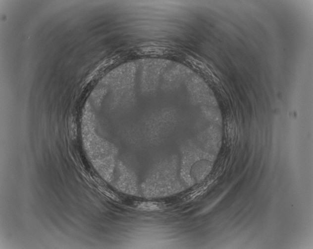 X0000085040751200704021253