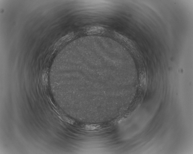 X0000085040753200704021253